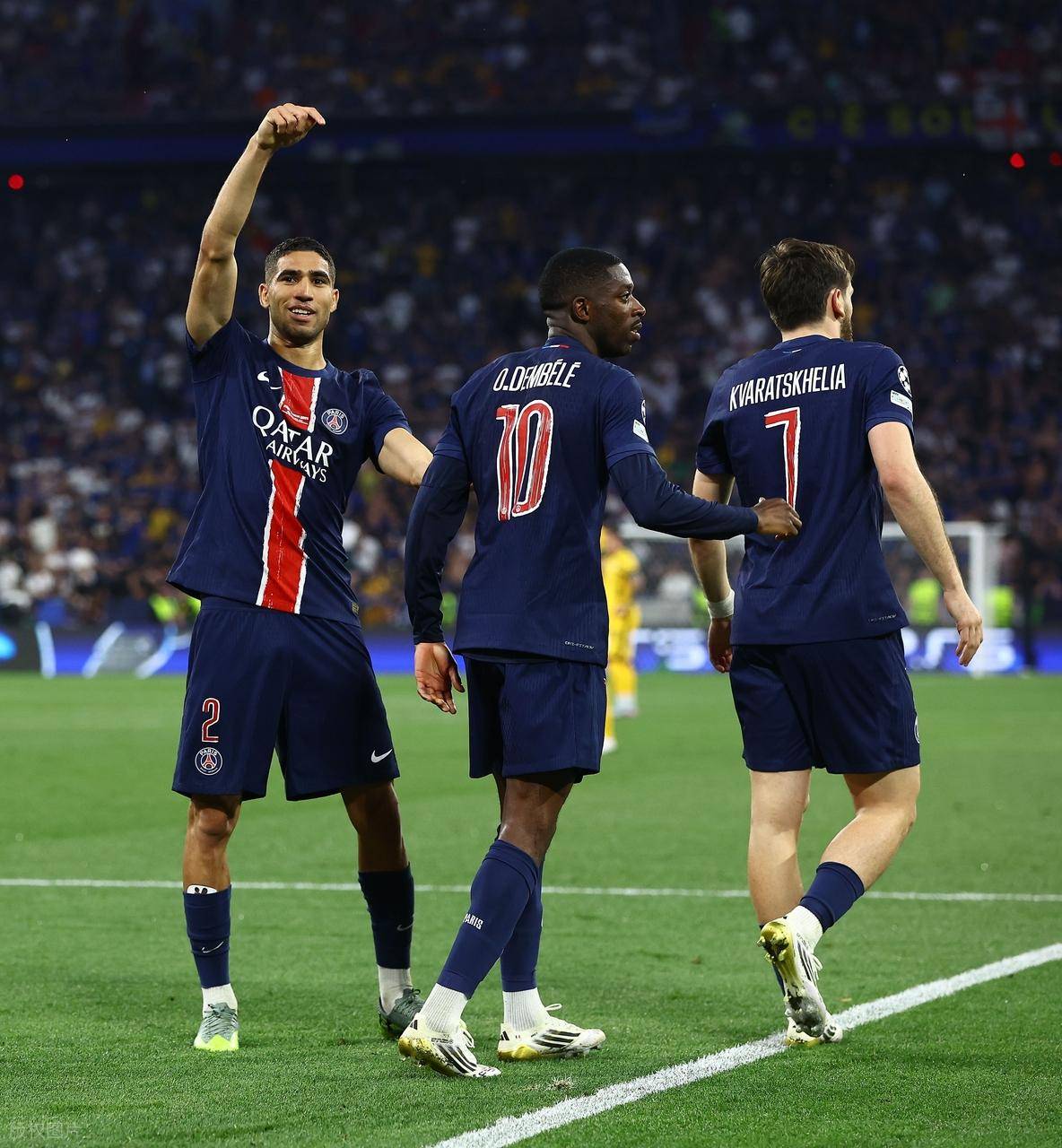 对比尼克斯 对比尼克斯