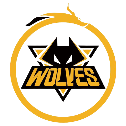 比赛的对攻 比赛的对攻